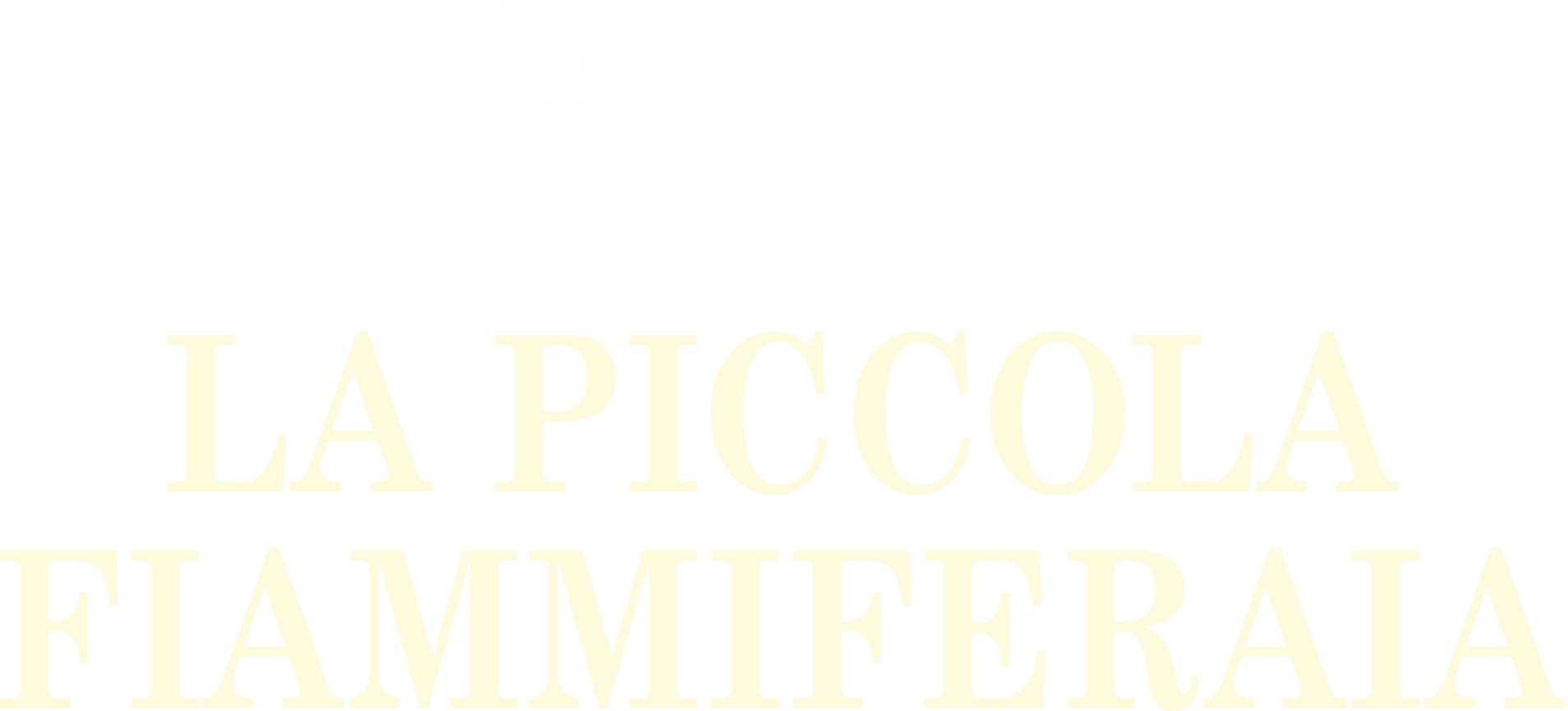 La piccola fiammiferaia