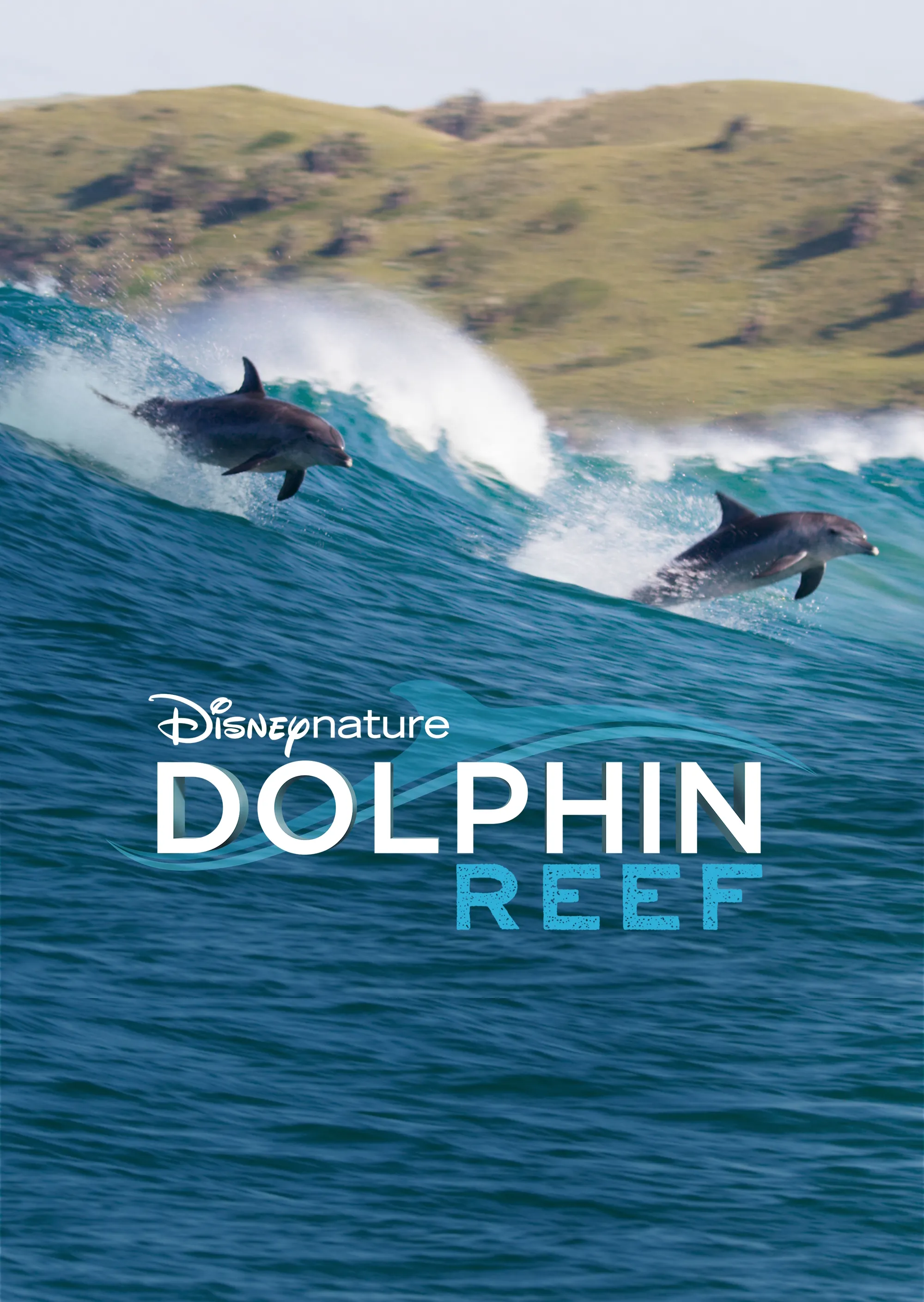 Dolphin Reef