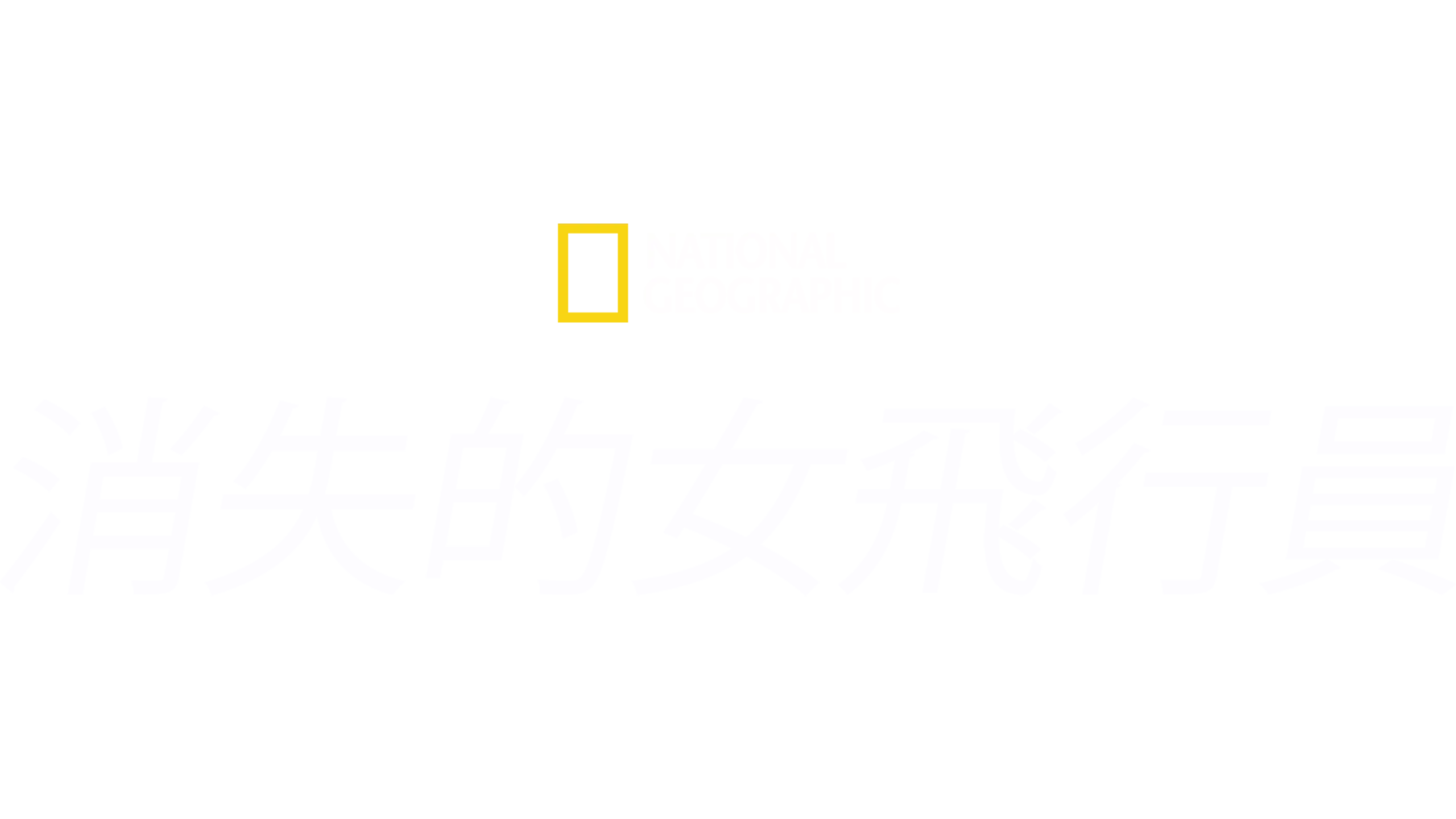 消失的女飛行員