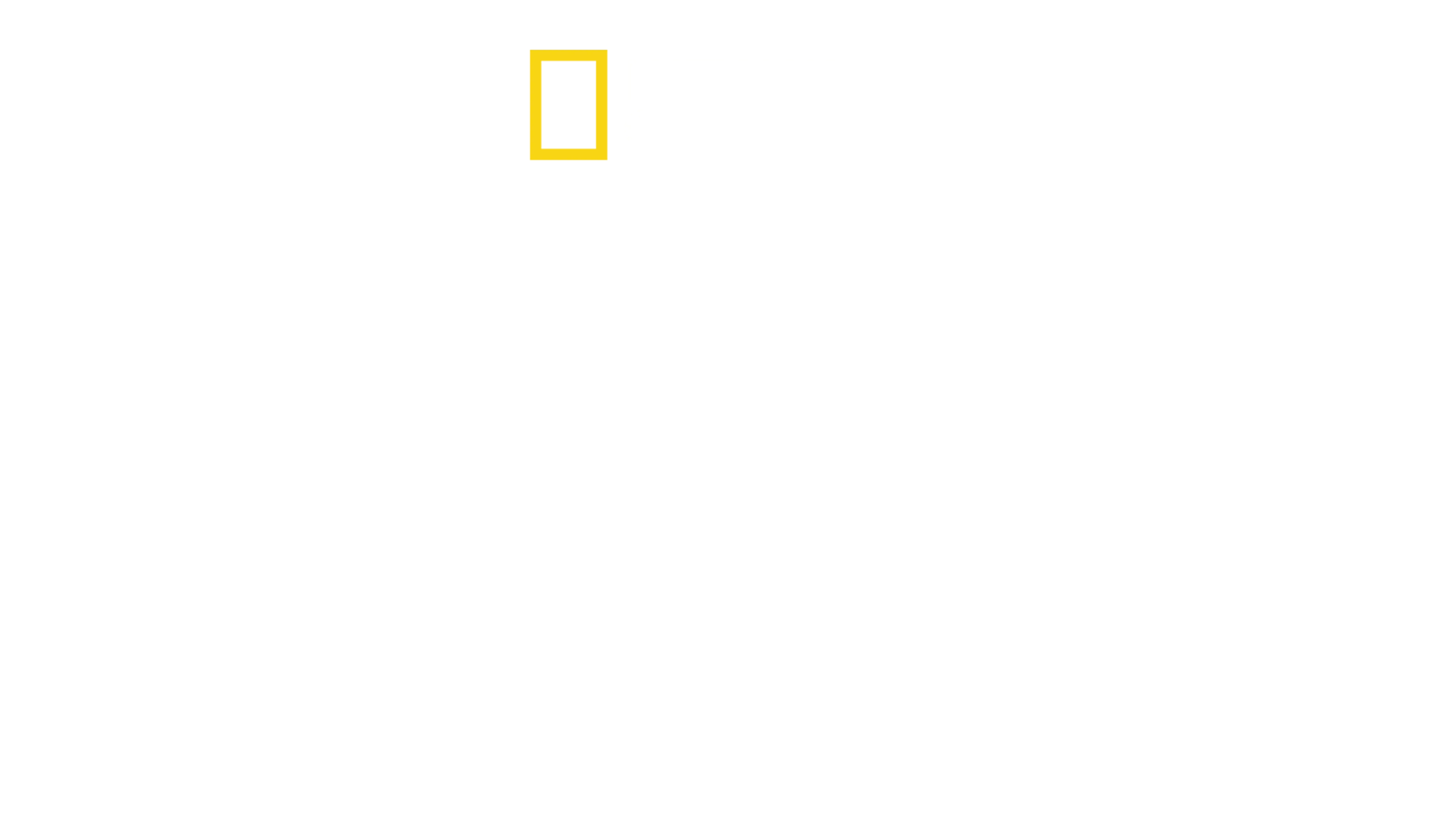 Egipt: Gardienii comorilor