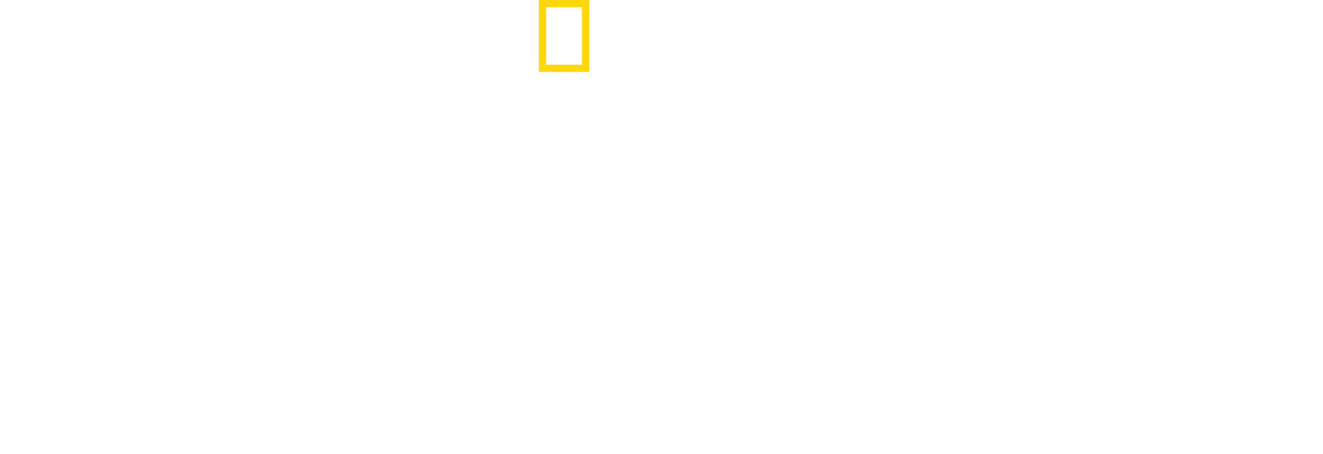 Inside : La Corée du Nord