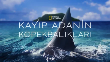 thumbnail - Kayıp Adanın Köpekbalıkları