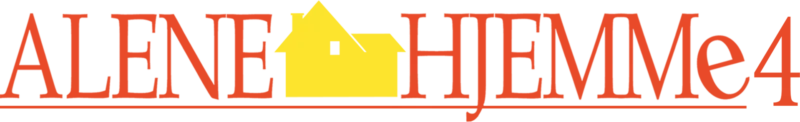 Alene Hjemme 4