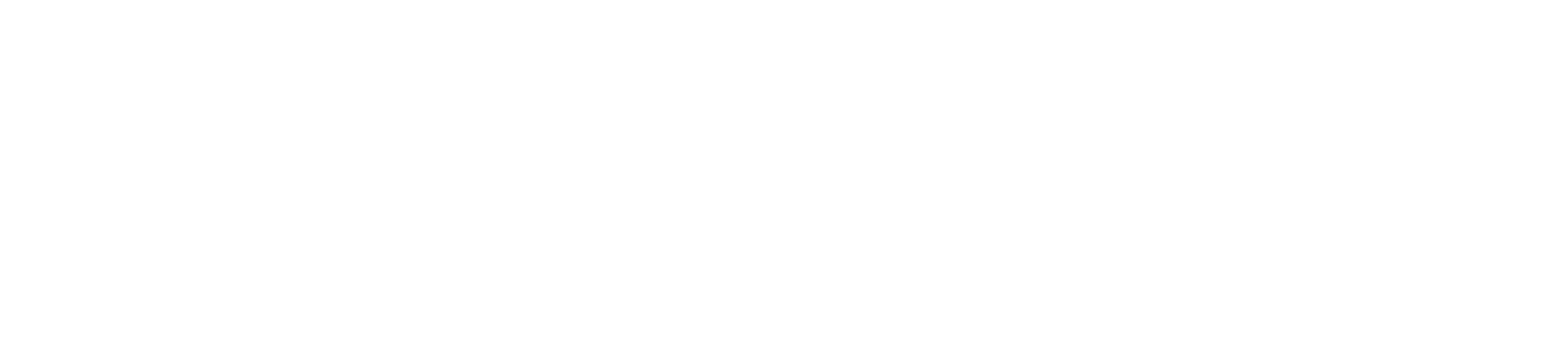 Fantastik Dörtlü