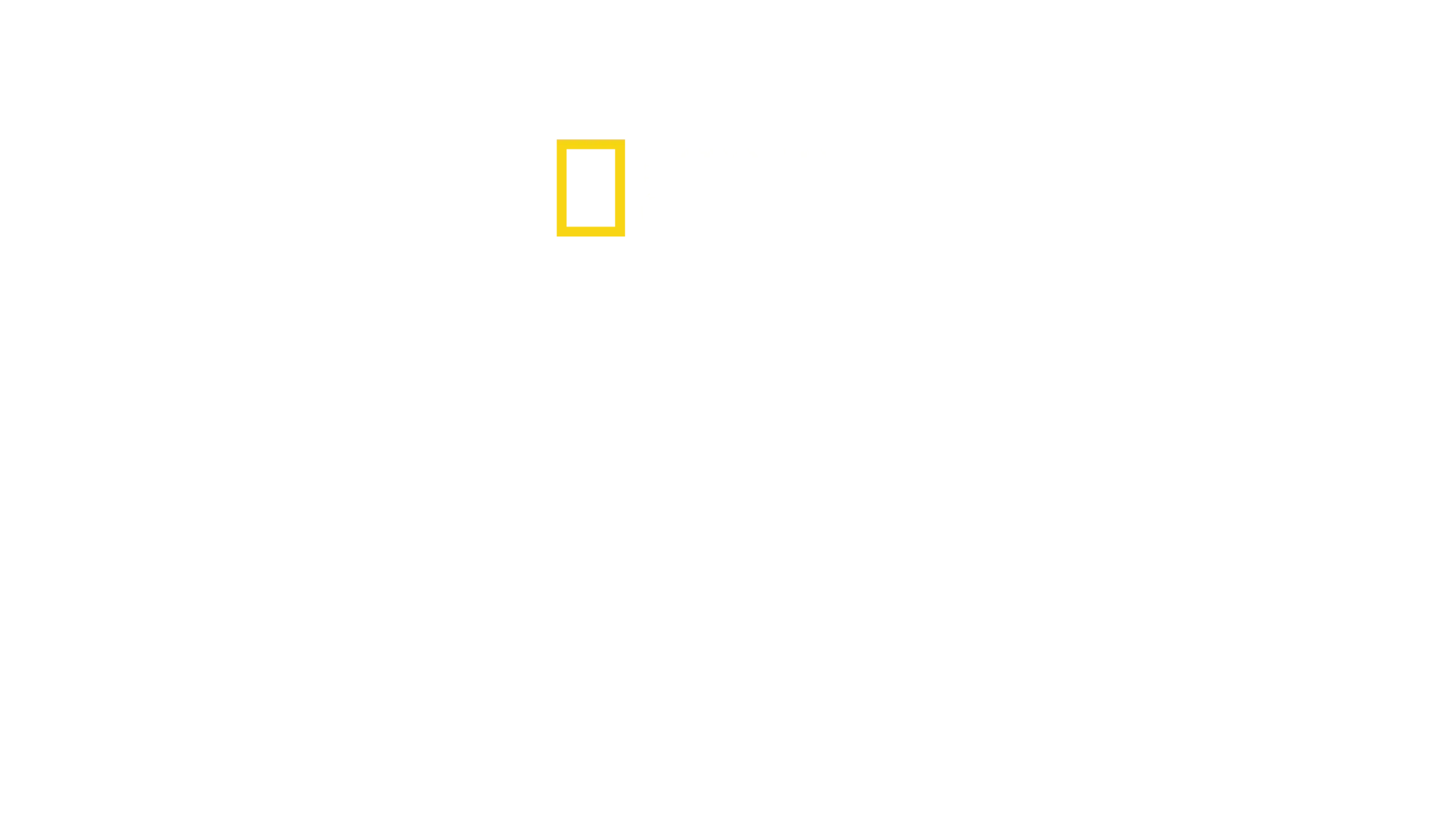 Hitler, narkomaani