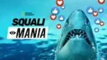 thumbnail - Squali Mania