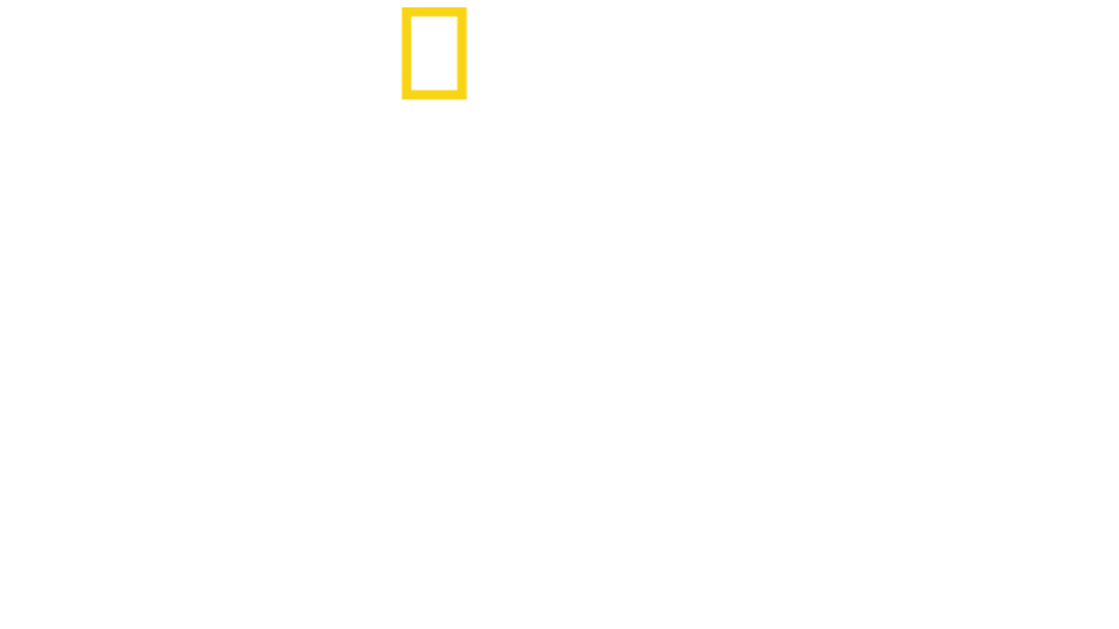 Sekrety zoo