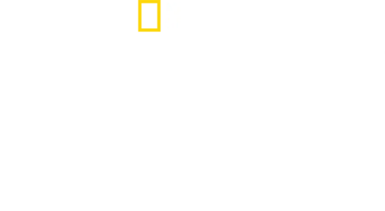 Sekrety zoo