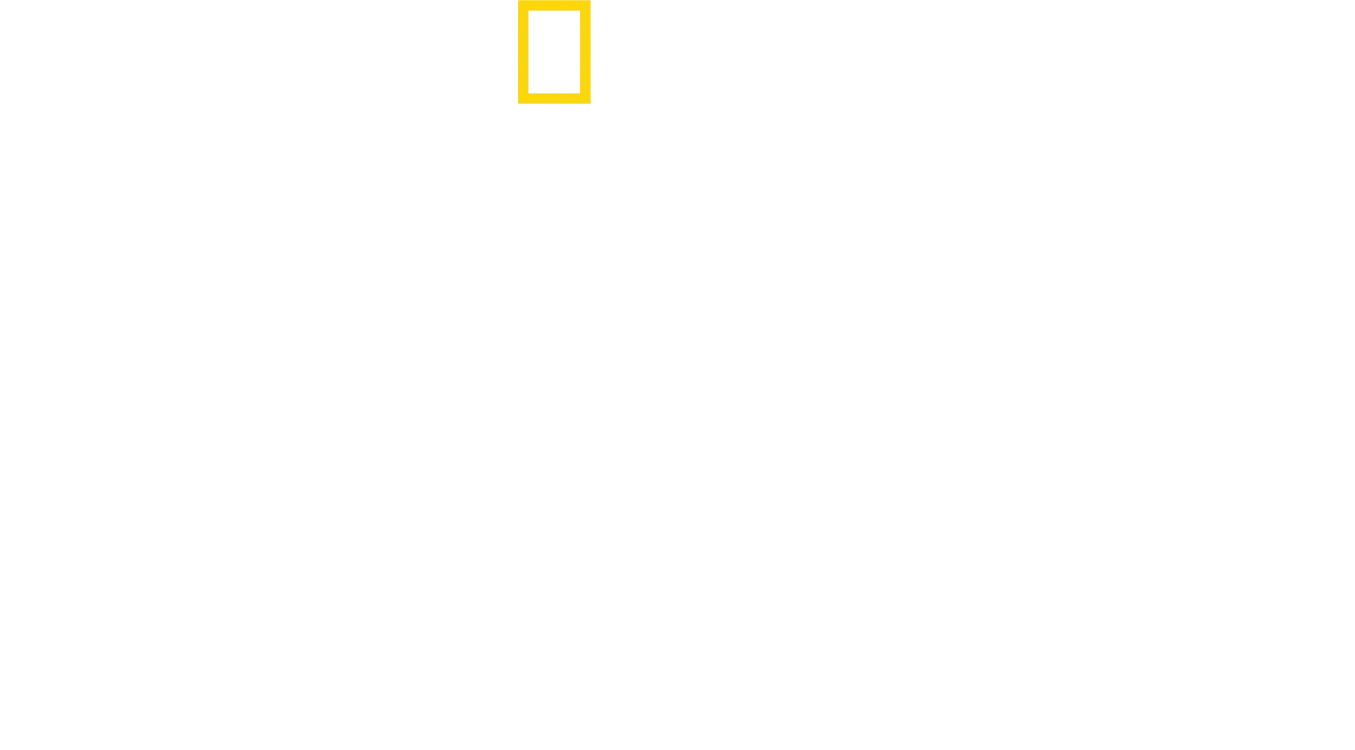 Amazon Görevi