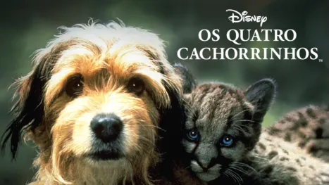 thumbnail - Os Quatro Cachorrinhos