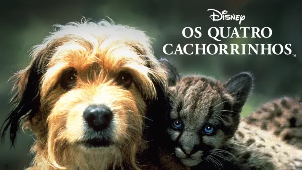 thumbnail - Os Quatro Cachorrinhos