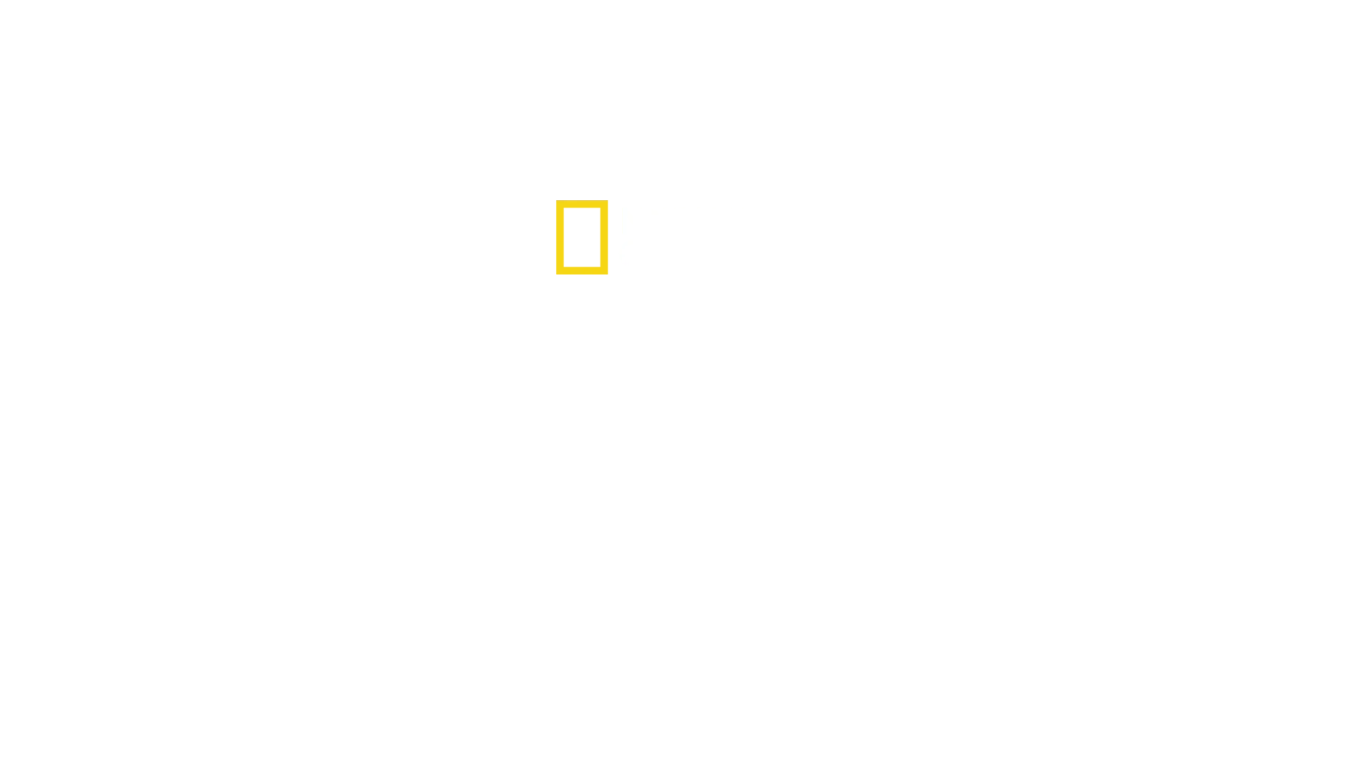 The Nightcrawlers