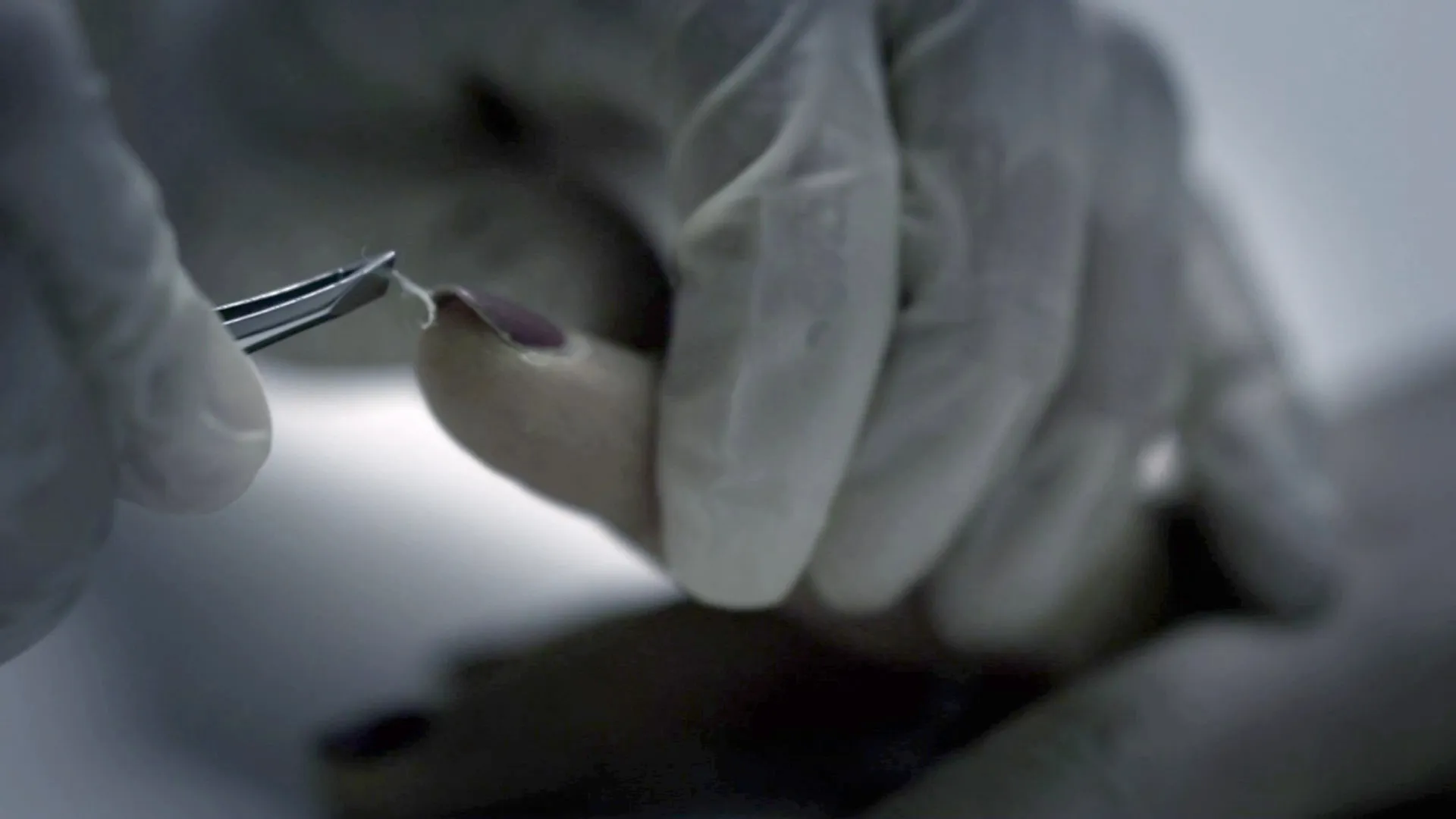 thumbnail - S1:E6 The Butcher of Buffalo