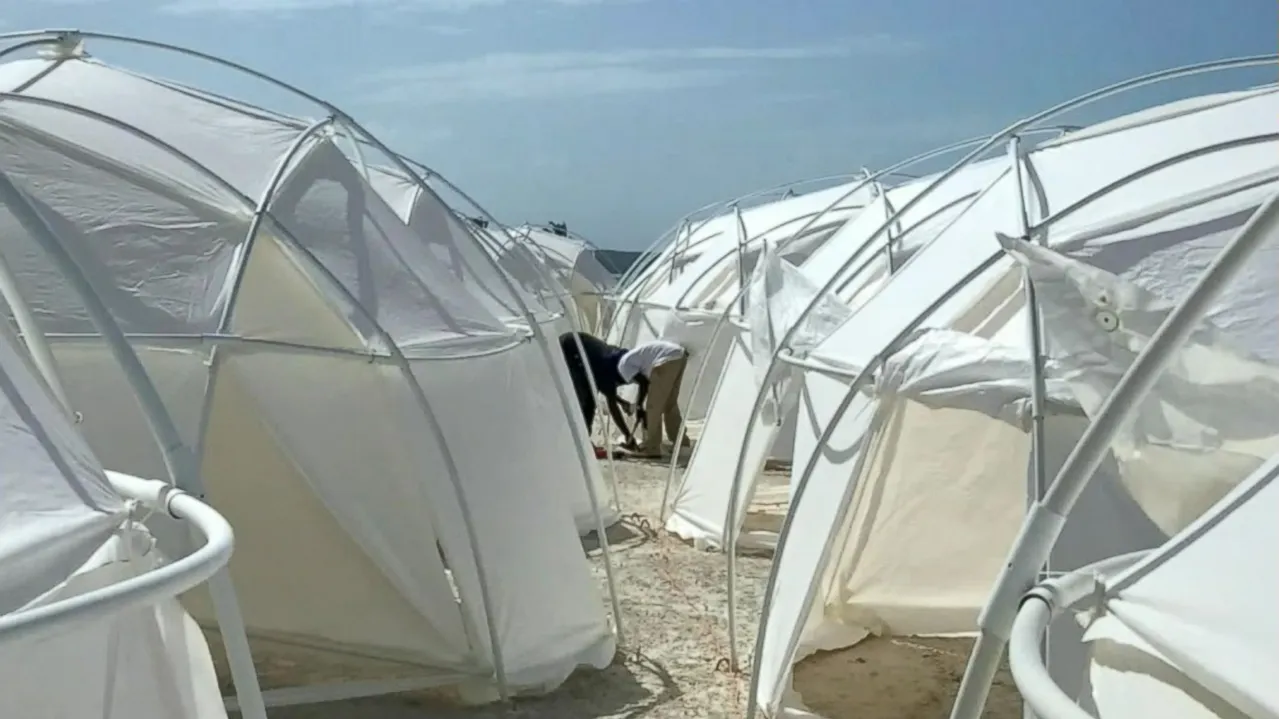 thumbnail - S1:E4 The Fyre Festival Con