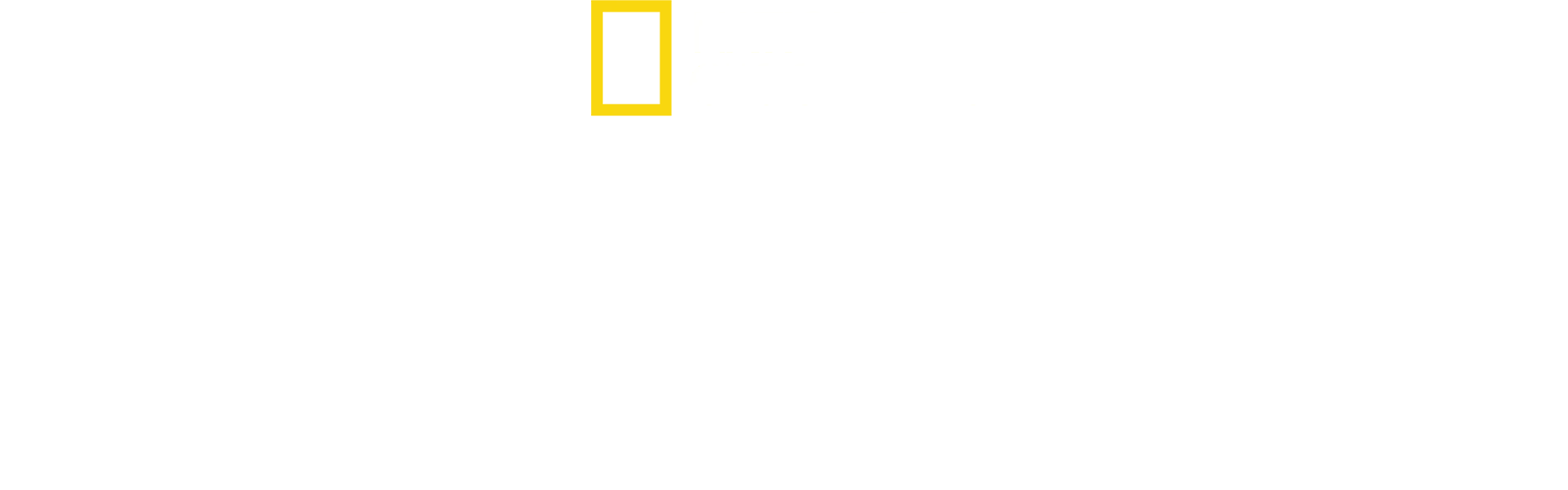 W świecie szympansów