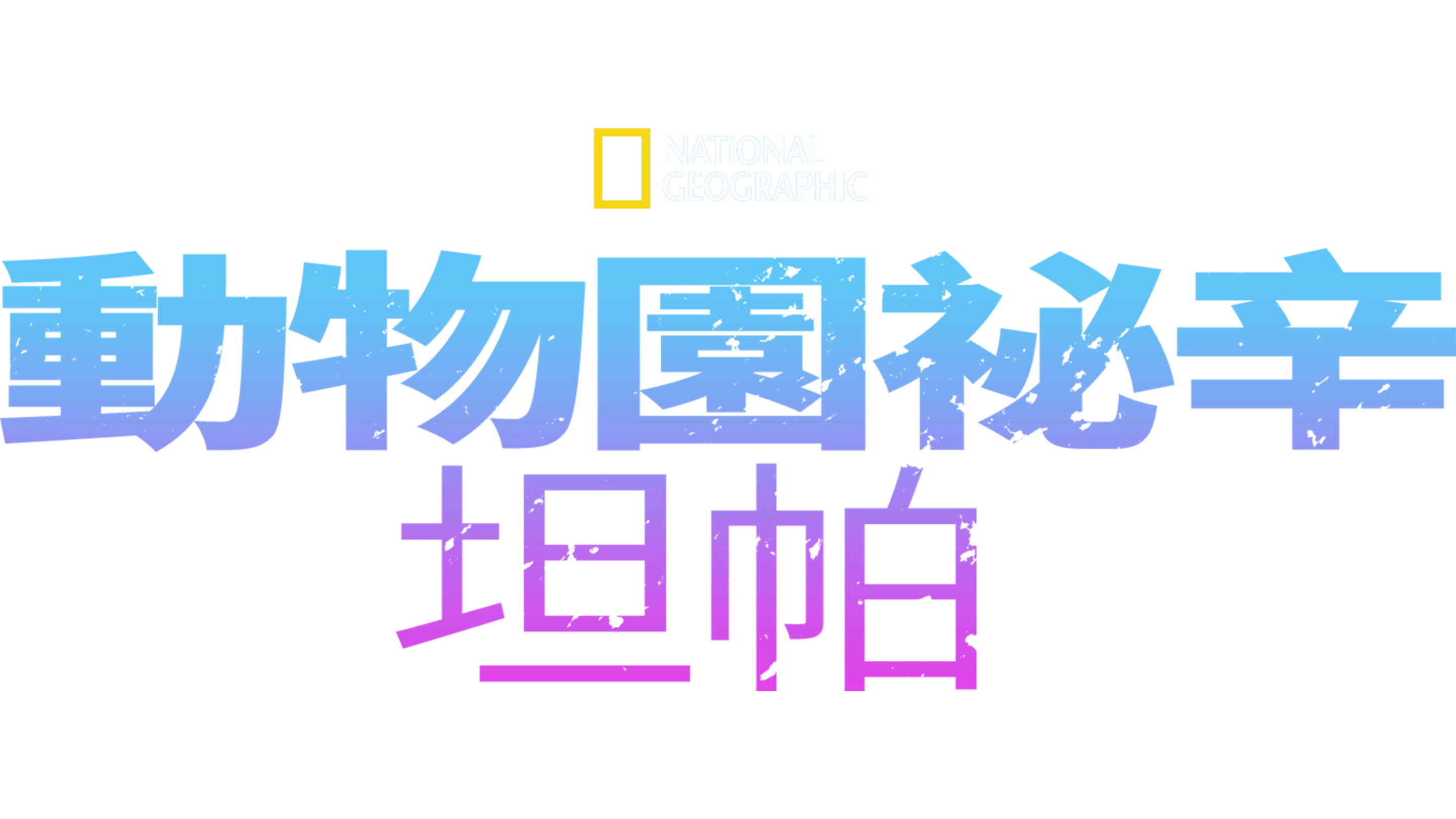 動物園祕辛：坦帕