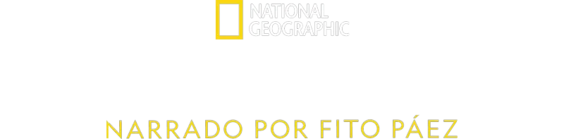 Sobrevolando
