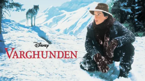thumbnail - Varghunden