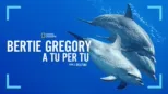 thumbnail - Bertie Gregory: A tu per tu con i Delfini
