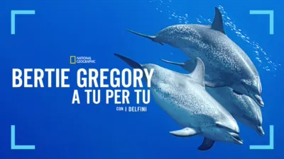 Bertie Gregory: A tu per tu con i Delfini