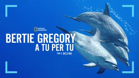 thumbnail - Bertie Gregory: A tu per tu con i Delfini
