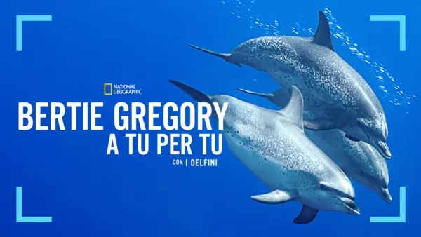 thumbnail - Bertie Gregory: A tu per tu con i Delfini
