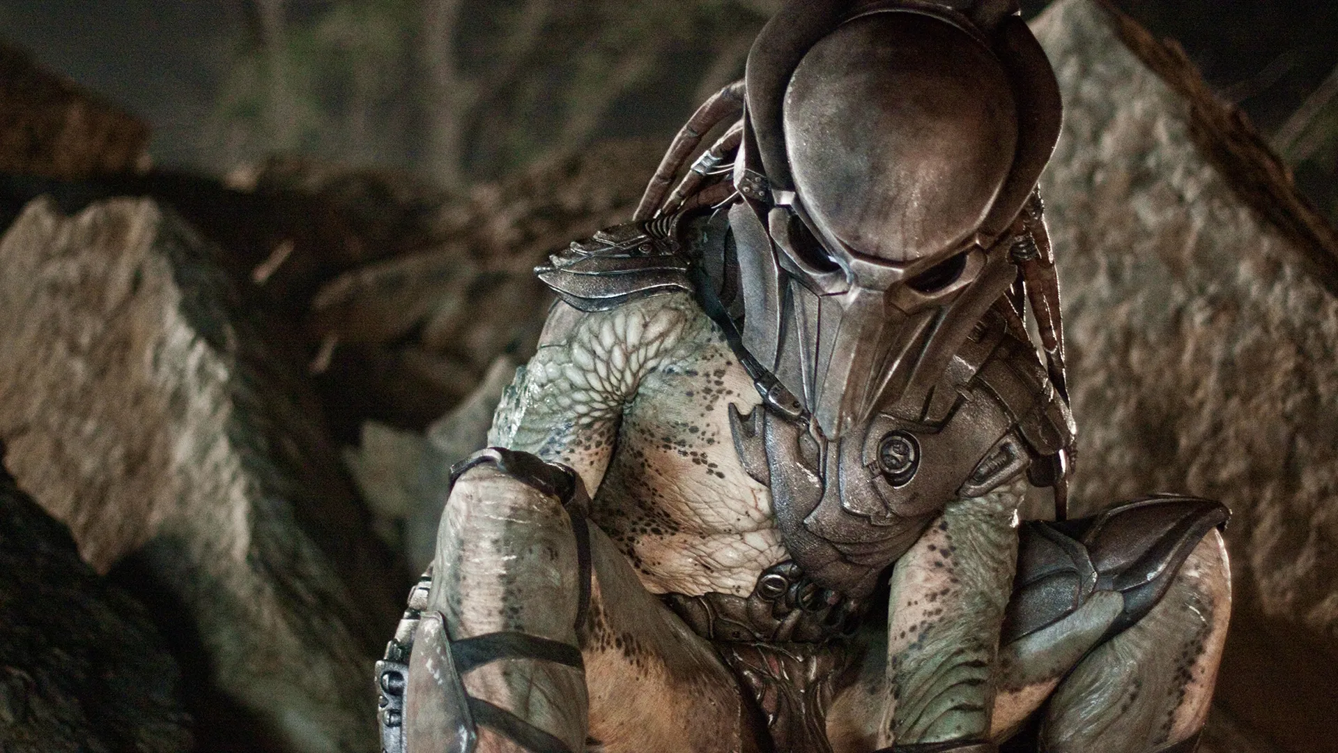 The Falconer Predator crouches among rocks in a cave.