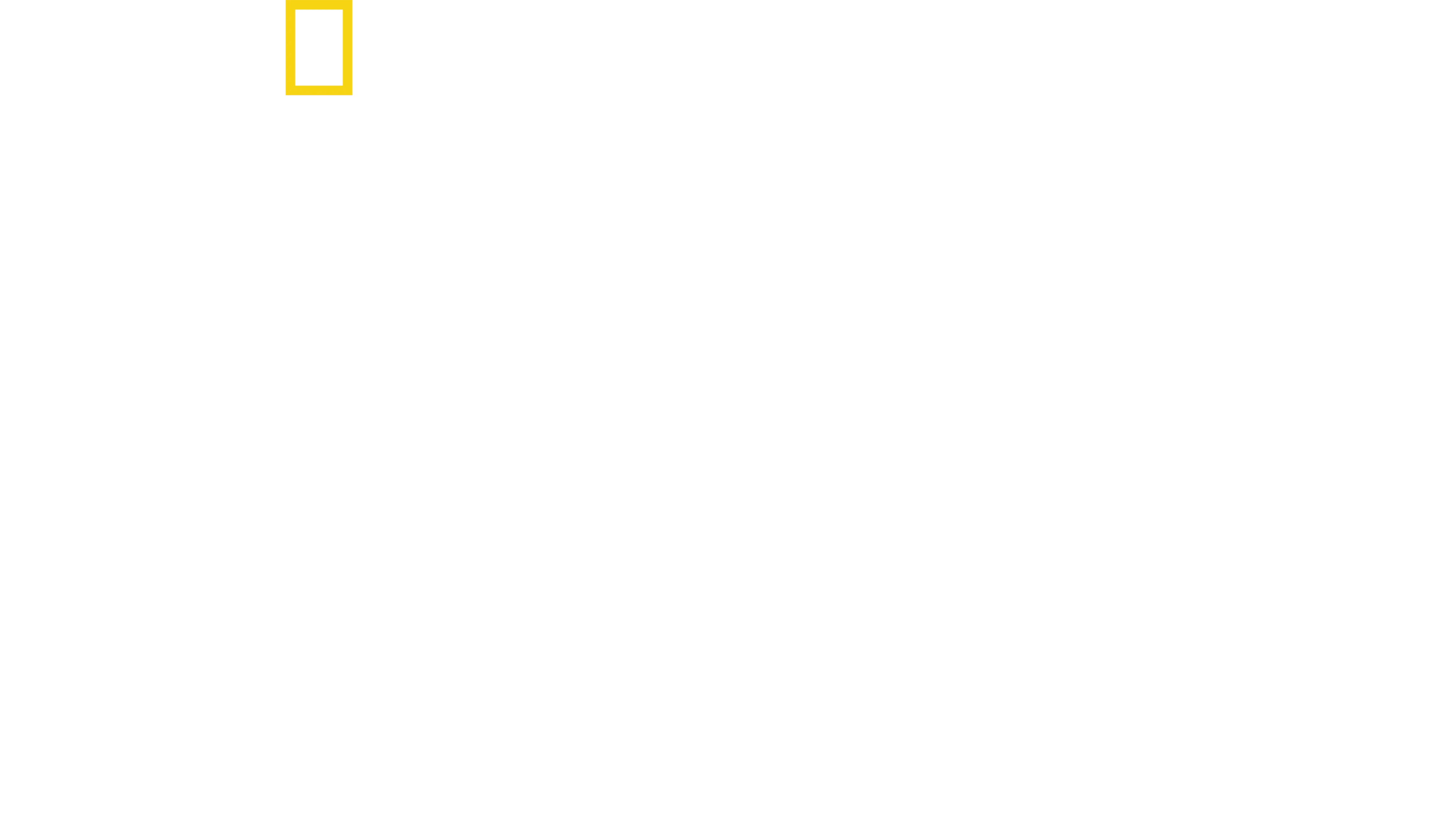 Extremsport: An den Grenzen des Möglichen