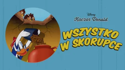 Wszystko w skorupce