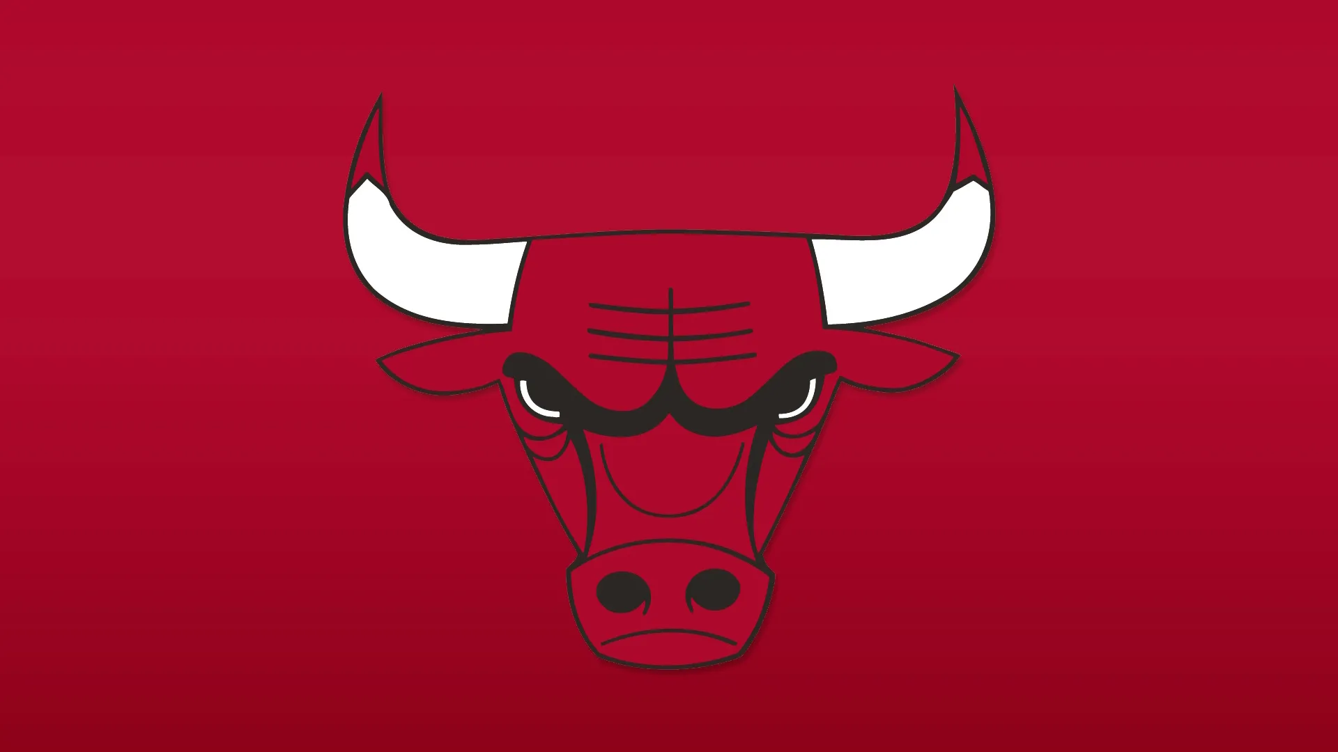 Chicago Bulls