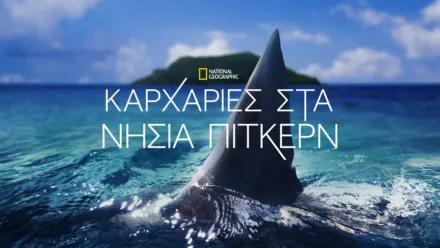 thumbnail - Καρχαρίες στα Νησιά Πίτκερν