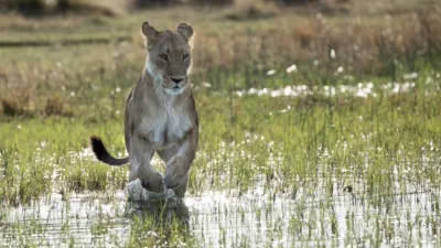 thumbnail - S4:E6 The Crown