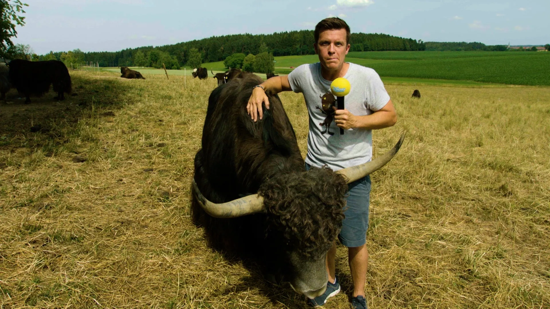 thumbnail - S1:E11 Beni and the Swimming Cow