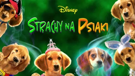 thumbnail - Strachy na psiaki