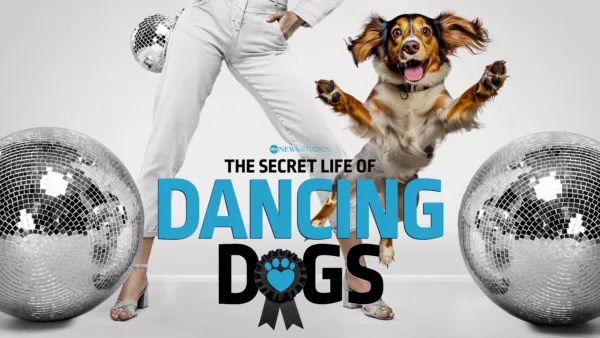thumbnail - The Secret Life of Dancing Dogs