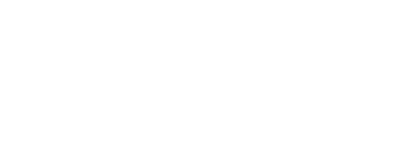 El misterio de las alas