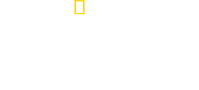 Everest Keşif Gezisi