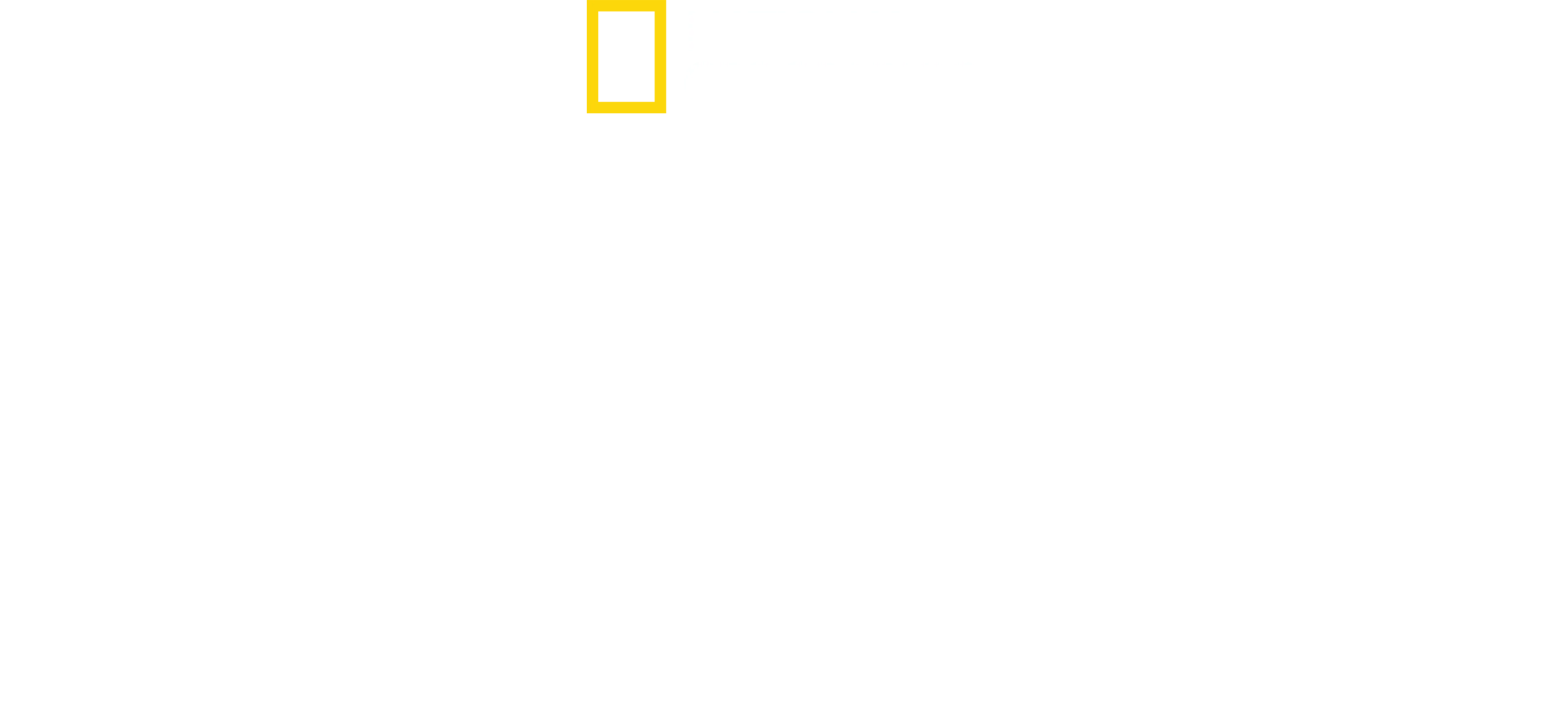 Everest Keşif Gezisi