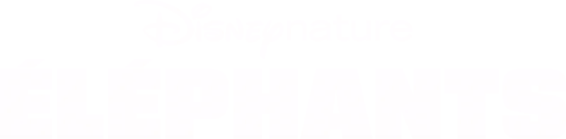 Éléphants