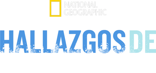 Hallazgos de la Segunda Guerra