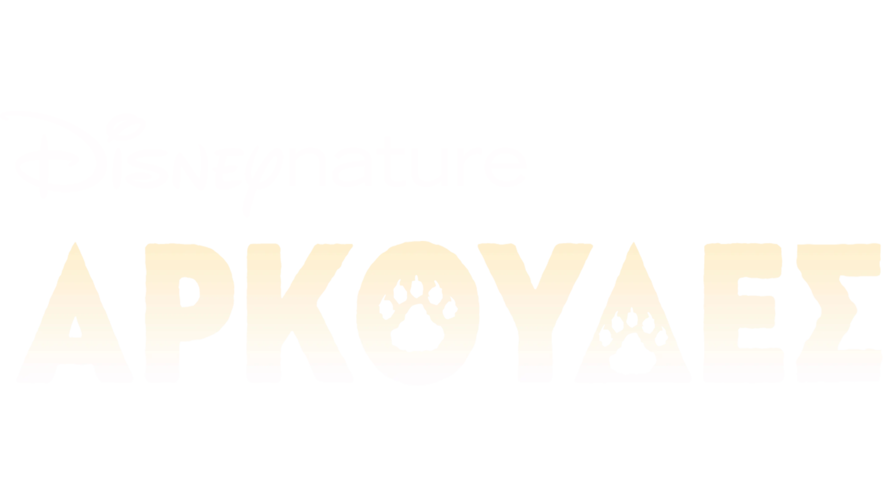 Αρκούδες