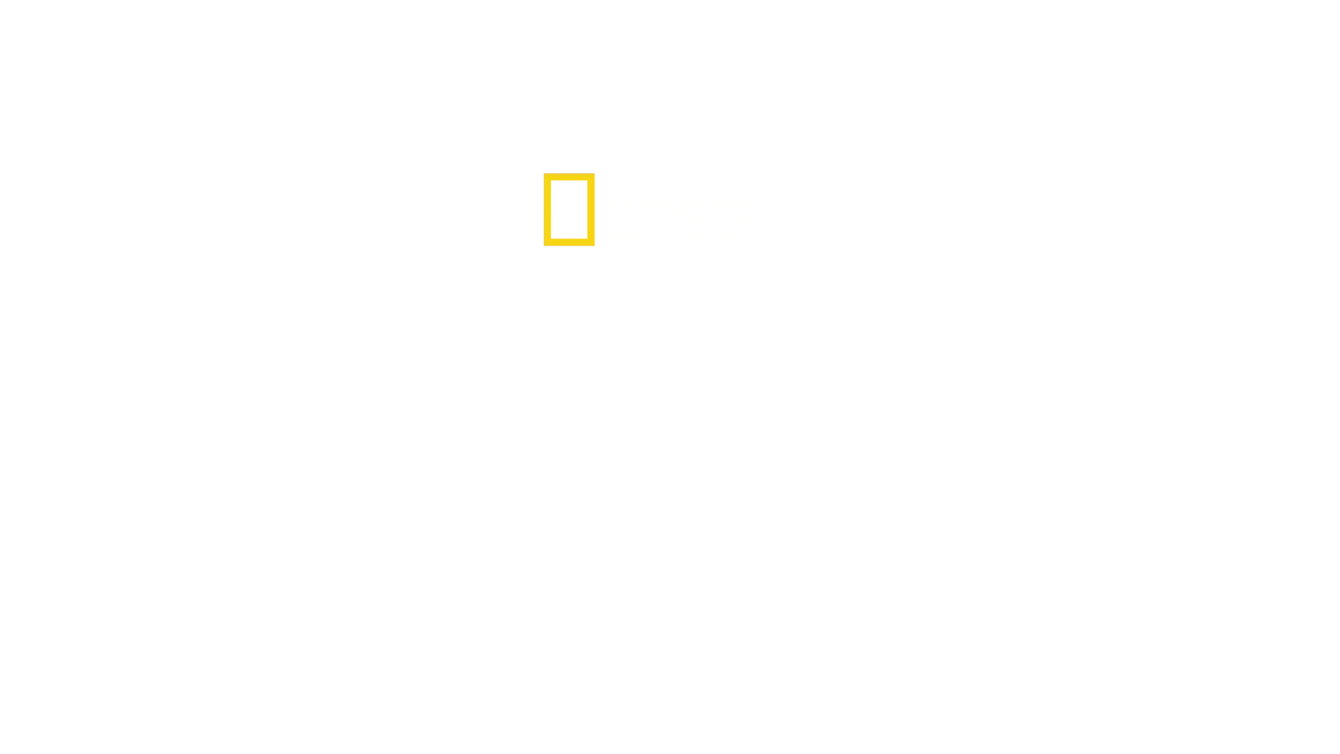 David Attenborough ile Okyanuslar