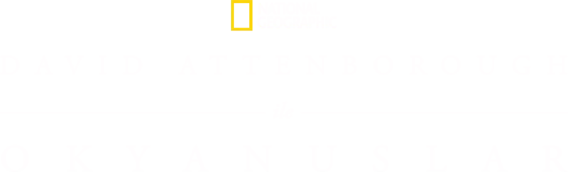 David Attenborough ile Okyanuslar