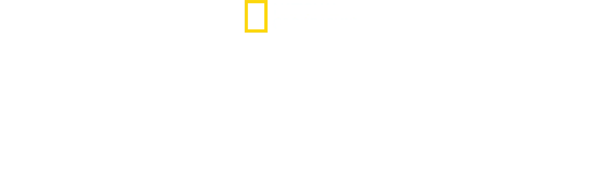 David Attenborough ile Okyanuslar