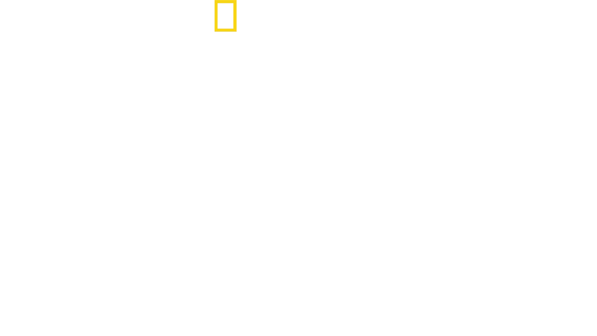 Žraloky zblízka s Bertiem Gregorym