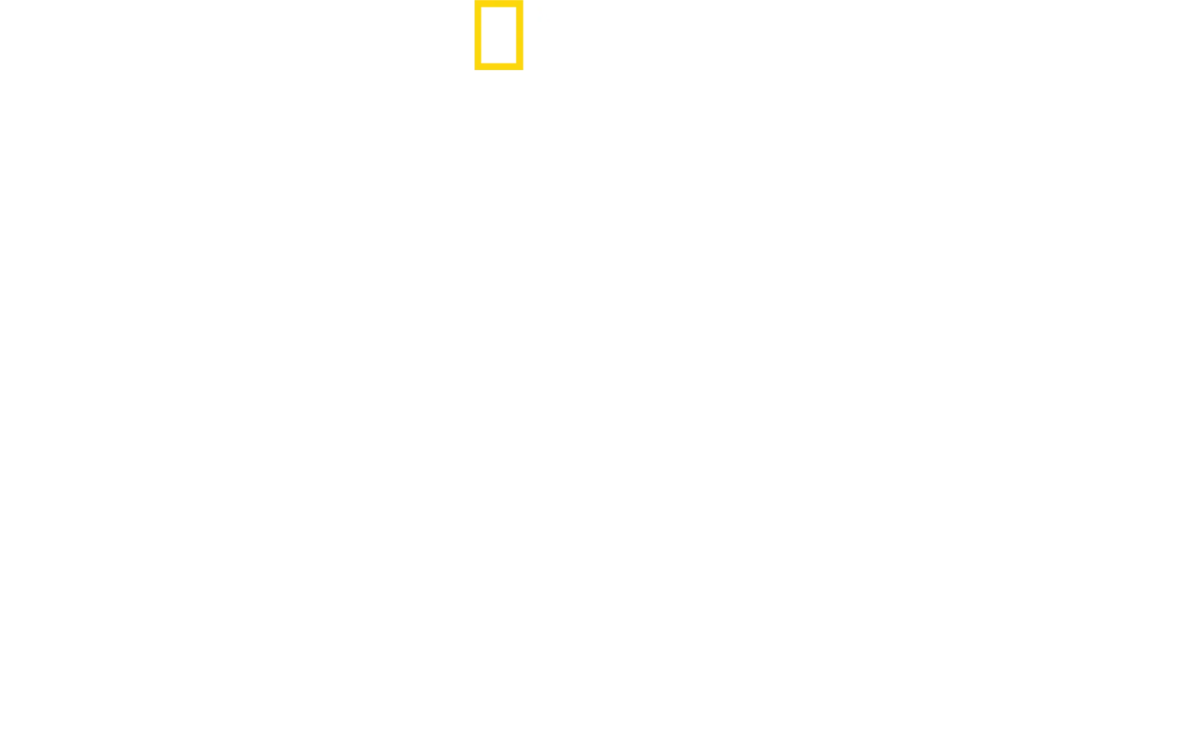 Žraloky zblízka s Bertiem Gregorym