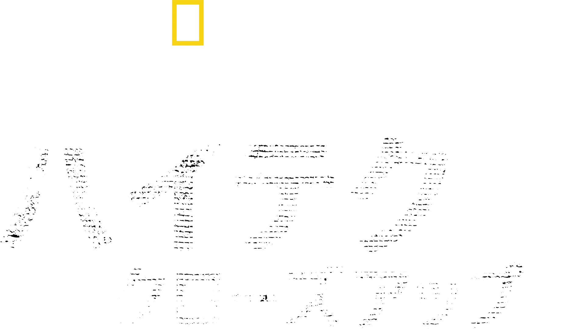 バーティのハイテク・クローズアップ