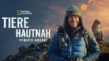 thumbnail - Tiere hautnah mit Bertie Gregory