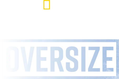 Squali Oversize