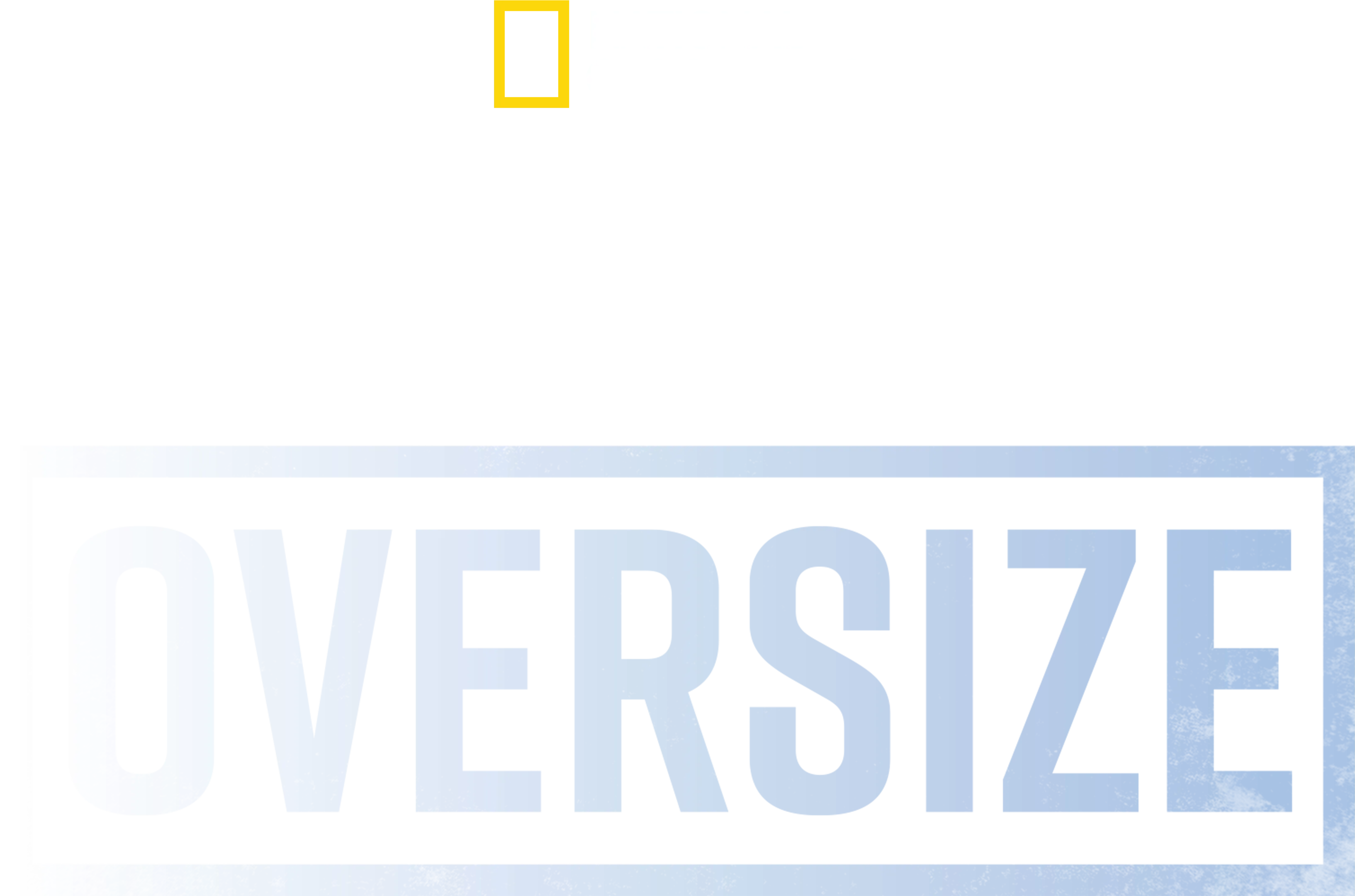 Squali Oversize